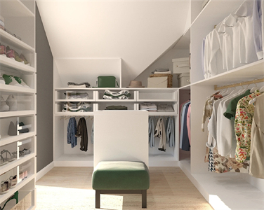 Contemporary High End Multifunctional Paint Walk-In Closet